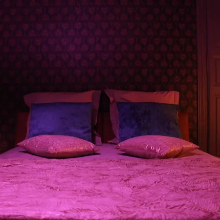 The Down Town Nenad's דיז'ון