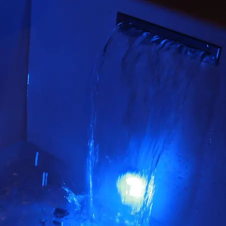 The Down Town Nenad's Dijon