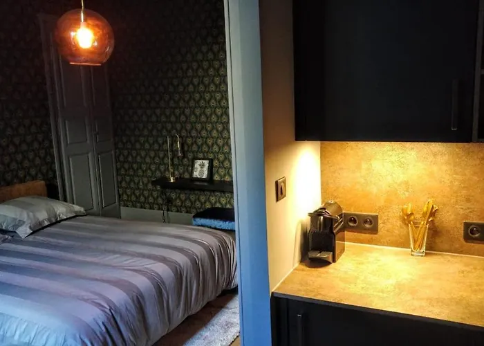 The Down Town Nenad's 公寓 *