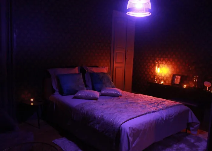 The Down Town Nenad's דיז'ון