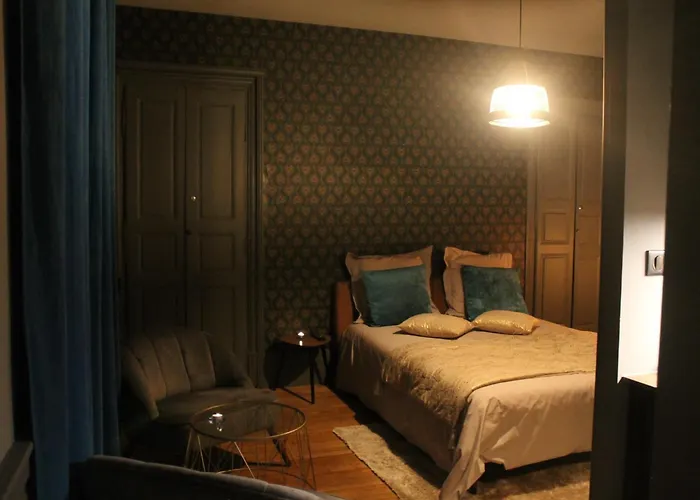 The Down Town Nenad's דירה דיז'ון